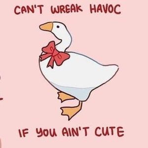 Meet your Posher, Mackenzie